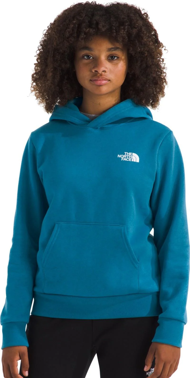 Evolution Box NSE Pullover Hoodie - Teen